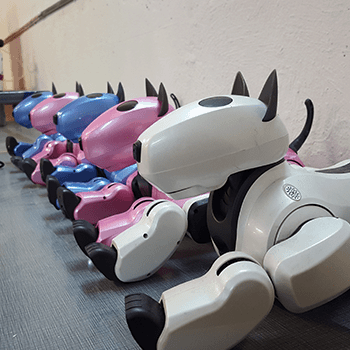 Projet de robotique et atelier Arduino et microcontrôleur